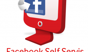 Self Servis Logo