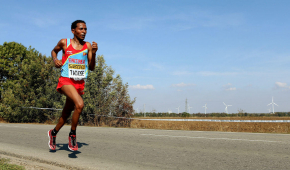 Tadesse 2