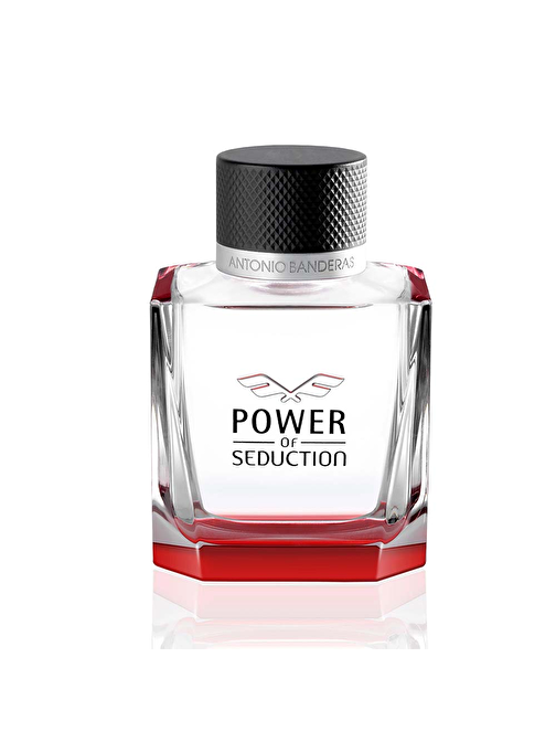 Antonio Banderas Power Of Seduction EDT Odunsu Erkek Parfüm 100 ml