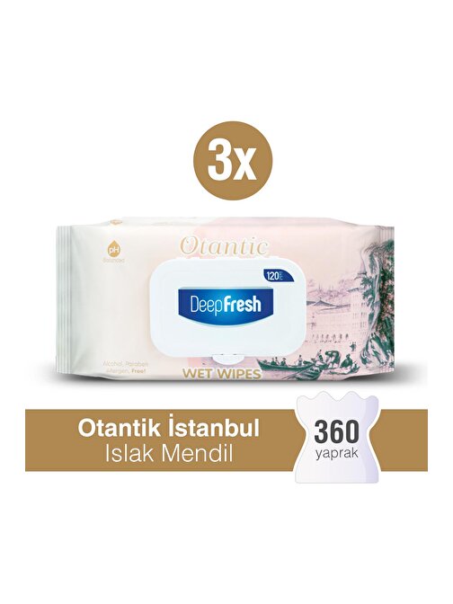 Deep Fresh Otantik Islak Mendil İstanbul 3 X 120 Yaprak