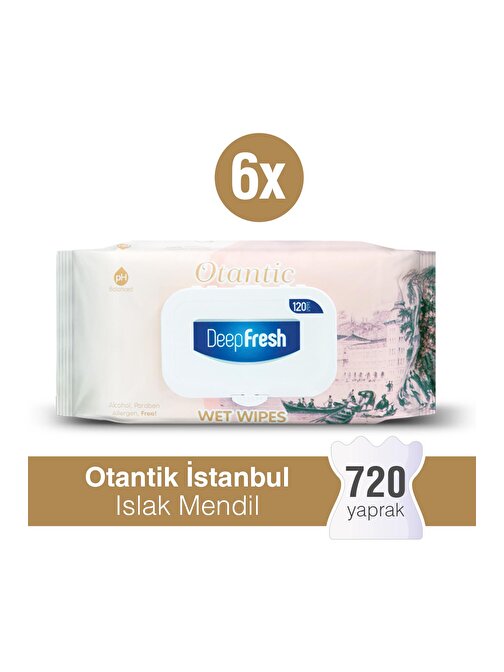 Deep Fresh Otantik Islak Mendil İstanbul 6 x 120 Yaprak