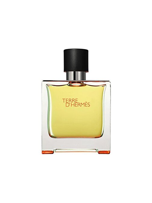 Hermes Terre D'Hermes Edt Erkek Parfüm 100 ml