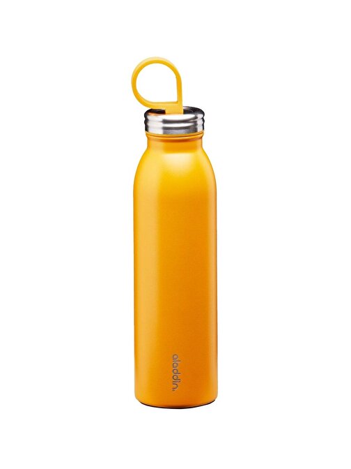 Aladdin 1009425001 Chilled Thermavac Ss Water Bottle 0.55 lt