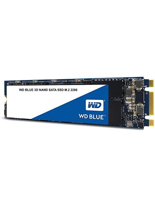 WD Blue WDS250G2B0B 250 GB M2 SSD