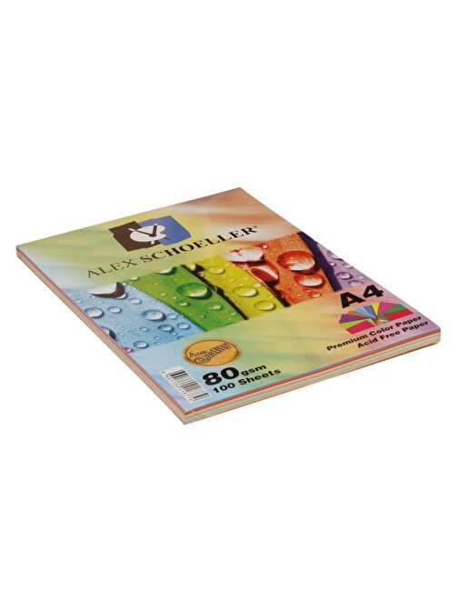 Alex Schoeller Renkli Fotokopi Kağıdı A4 Karışık 10 Renk 100'Lü Paket