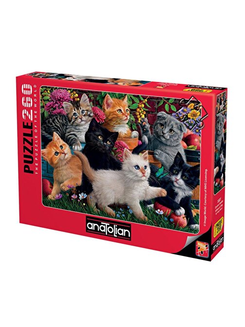 Anatolian 3327 Oyuncu Kediler 260 Parça Puzzle