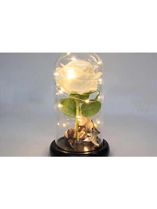 Huramarketing Fanus Çiçek 19/10cm Cam Fanus Hediyelik Led Işıklı