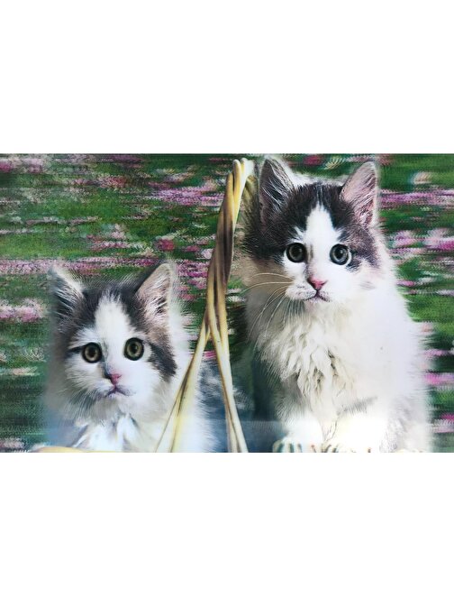 Huramarketing Parti Aksesuar 5D Elmas Boyama Sevimli Kediler İkili Kedi Resmi Tablosu 40x60 cm