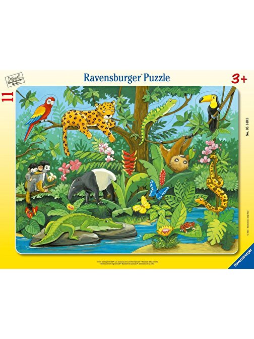 Ravensburger 051403 Hayvanlar Çerçeveli Çocuk Puzzle 11 Parça 3+ Yaş