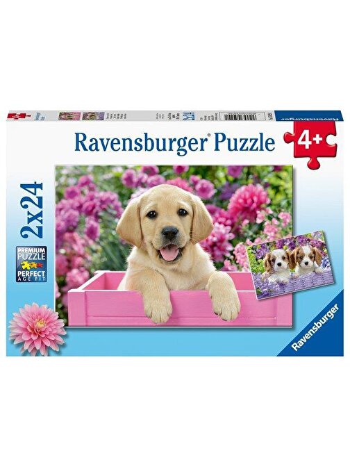 Ravensburger 050291 Friends Köpek Temalı Çocuk Puzzle 4+ Yaş