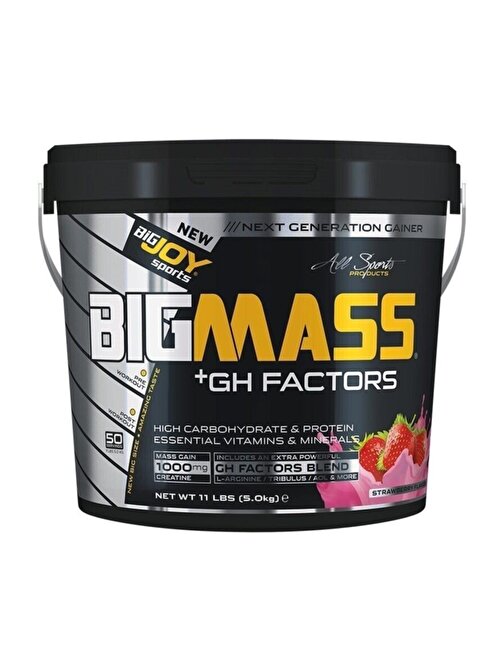 Bigjoy Big Mass + Gh Factors 5000 Gr - Çilek