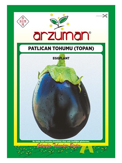 Arzuman Topan Patlıcan Tohumu 10 gr