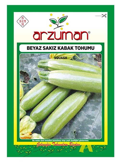 Arzuman Beyaz Sakız Kabak Tohumu 10 gr