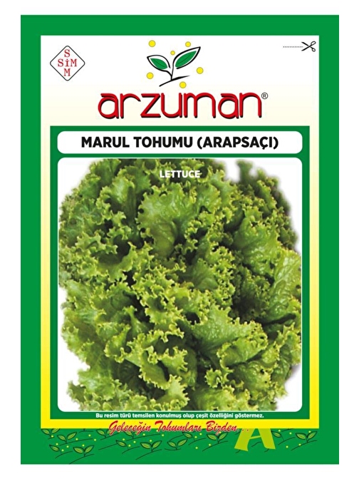 Arzuman Tohum Arapsaçı Kıvırcık Marul Tohumu 10 gr