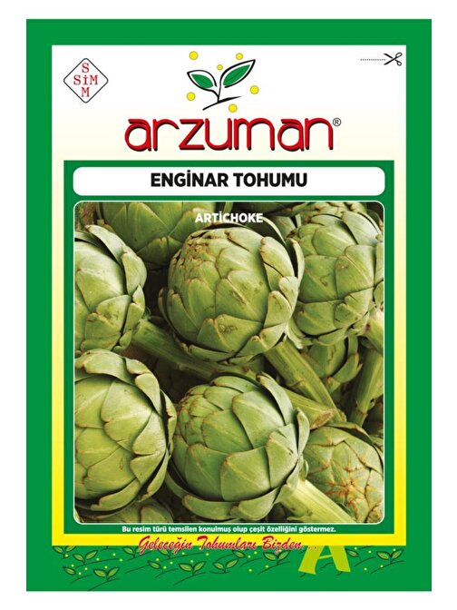 Arzuman Enginar Tohumu 20 Adet