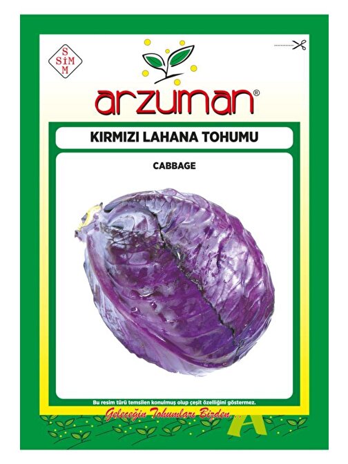 Arzuman Kırmızı Mor Lahana Tohumu 10 gr