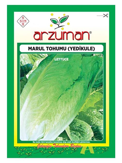 Arzuman 7000 Adet Yedikule Marul Tohumu 10 Gr