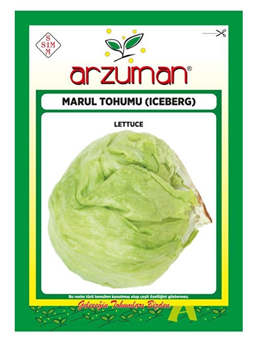 Arzuman Tohum Iceberg Marul Tohumu 5 gr