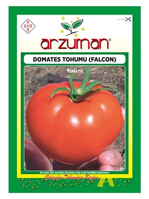 Arzuman Falcon Domates Tohumu 5 gr