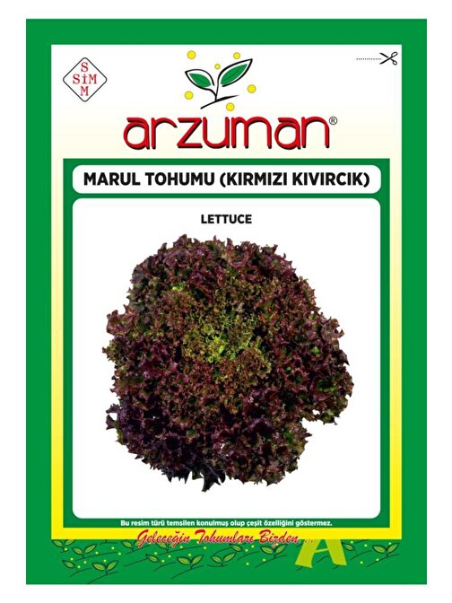 Arzuman Tohum Kırmızı Kıvırcık Marul Tohumu 5 gr