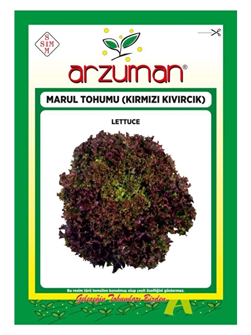 Arzuman Tohum Kırmızı Kıvırcık Marul Tohumu 3000 Adet