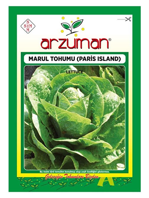 Arzuman 7000 Adet Paris Island Marul Tohumu 10 Gr