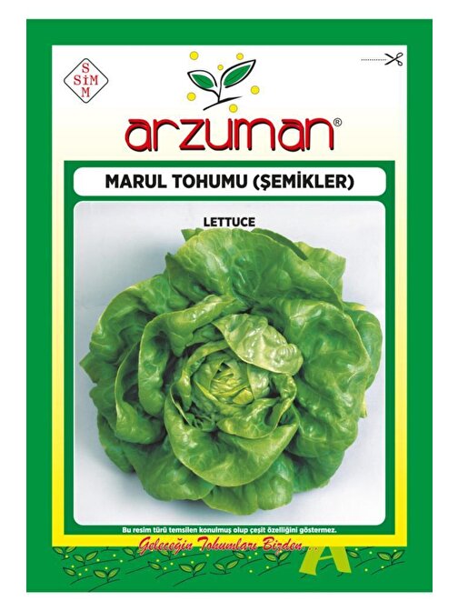 Arzuman 7000 Adet Şemikler Tereyağlı Kıvırcık Marul Tohumu 10 Gr