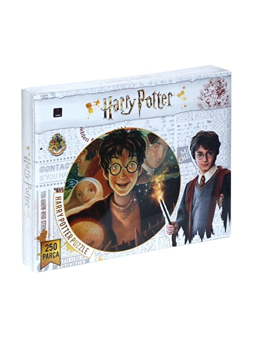 Hp7565 Laço Kids Harry Potter 250 Parça Puzzle