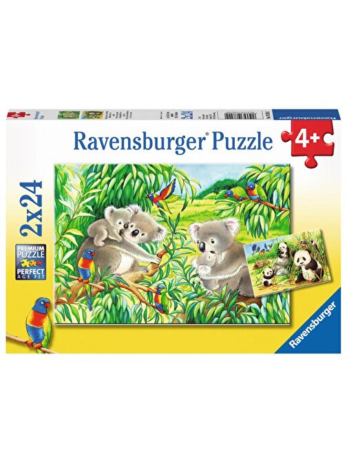 Ravensburger 078202 Koalalar Ve Pandalar Çocuk Puzzle 2x24 Parça 4+ Yaş