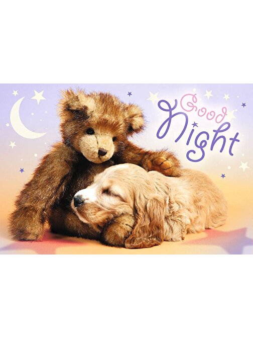 Trefl Puzzle Sevimli Hayvan Temalı İyi Geceler Çocuk Puzzle 60 Parça 4+ Yaş