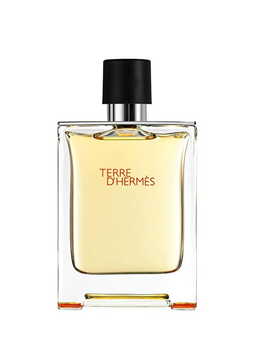 Hermes Terre D' EDT Erkek Parfüm 100 ml