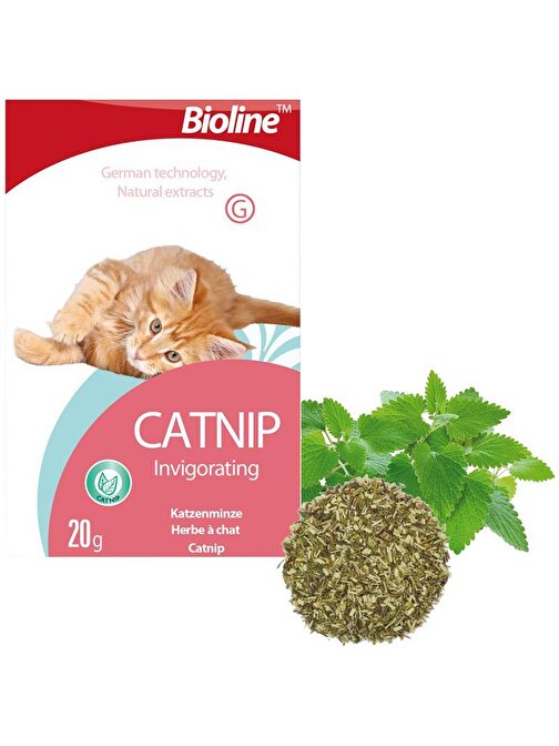 Bioline Catnip 20 gr