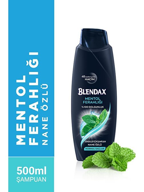 Blendax Erkekler Için Mentollü Şampuan 500 ml