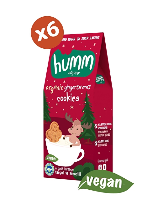 Organik Zencefilli Tarçınlı Vegan Kurabiye 55g X 6 Adet