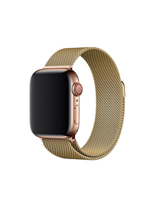 E2M KRD01 Apple Watch 38 - 40 mm Metal Hasır Akıllı Saat Kordonu Altın