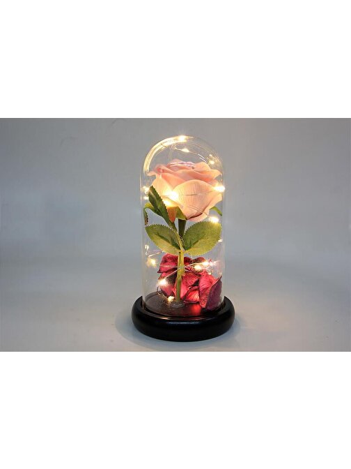 XMARKETTR Fanus Çiçek 19/10cm Cam Fanus Hediyelik Led Işıklı