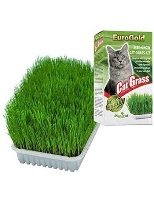 EuroGold Cat Grass Kedi Çimi