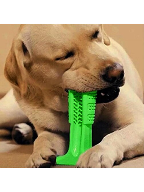 Baskaya Köpek Diş Temizleyici Ve Kaşıyıcı Sağlıklı Küçük Boy Oyuncak