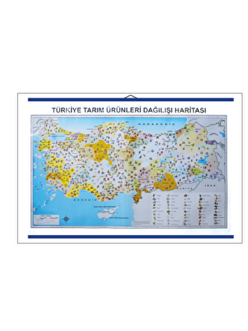 Edulab Türkiye Tarım Ürünleri Dağılış Haritası85X135 Cm