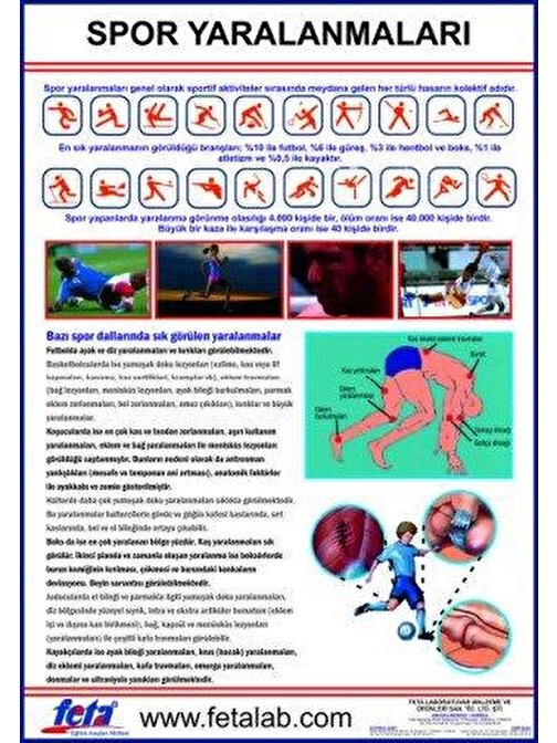 Edulab Spor Yaralanmaları Eğitim Plakası