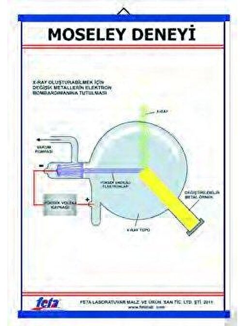 Edulab Moseley Deneyi Levhası (70X100 Cm)