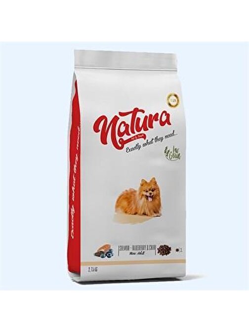 Natura Somon & Y.Mersini & Chıa Mini Irk Yetişkin Köpek 2.75 Kg