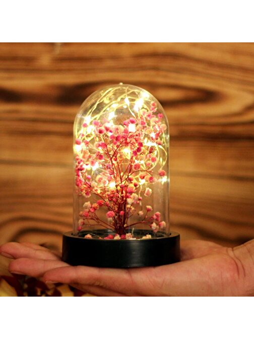 Oem Led Işıklı Mini Ağaç Fanus Teraryum 4