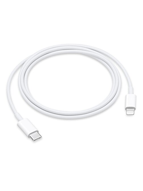 Winex Apple 100W 5A Type-C to Lightning Hızlı Şarj Kablosu 2 m Beyaz