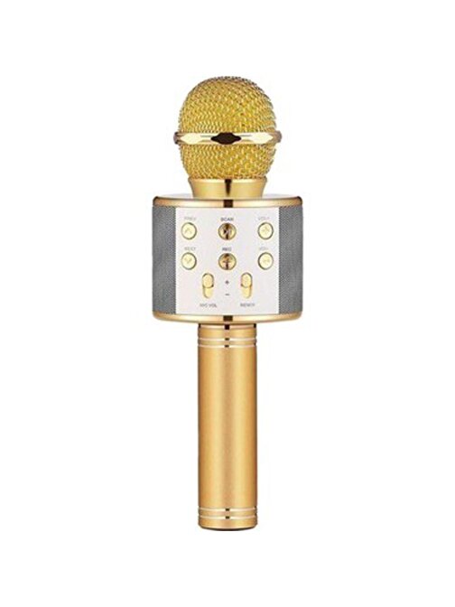 Winex UsbA+TF Sd Kart+3.5mm Aux Girişli Bluetooth Karaoke Mikrofonu Gold