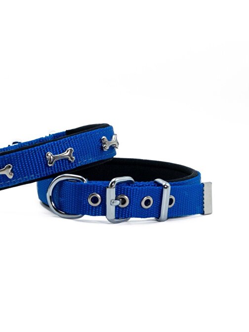 Doggie Comfort Metal Kemik İşlemeli Köpek Boyun Tasması M 2X35-40cm Royal Mavi