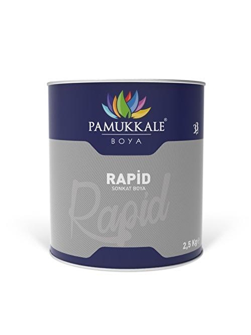 Pamukkale Rapid Boya 2.5 kg Mat Siyah