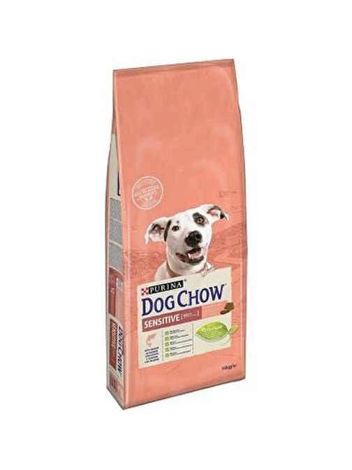 Dog Chow Yetişkin Somonlu Köpek Maması-14Kg
