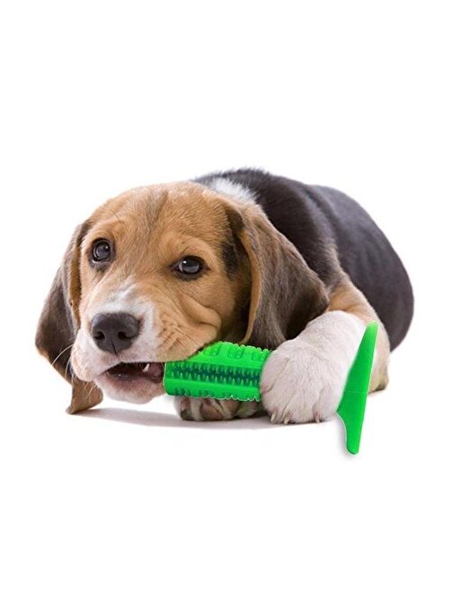 Can İthalat Köpek Diş Temizleyici Oyuncak - Isırma Aparatı Çubuk 15 Cm