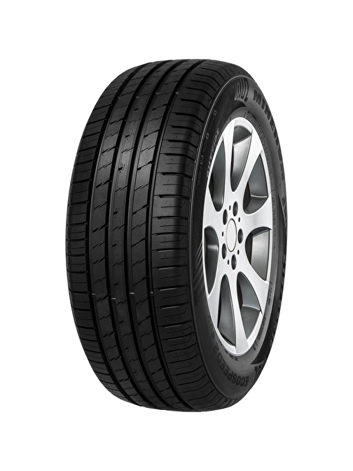 Minerva 225/60R18 100V Ecospeed2 Suv (Yaz) (2019)